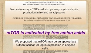 Ron Rosedale - mTOR is activated