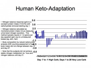 Phinney Ketoadaptation Nitrogen.003