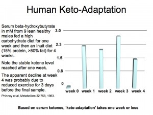 Phinney Ketoadaptation - Serum Ketones.001