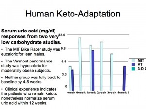 Phinney Ketoadaptation Uric Acid.005